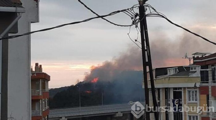 Arnavutköy'de yangın!