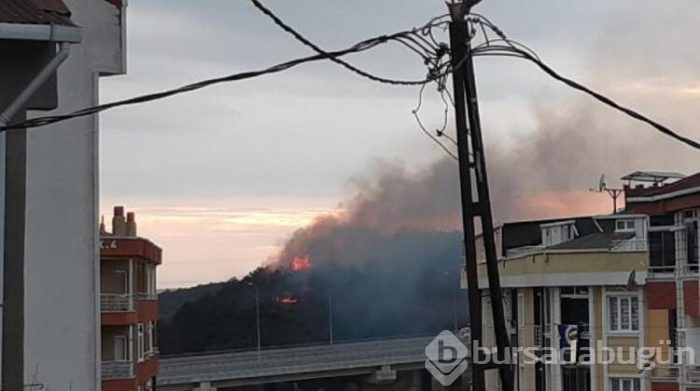 Arnavutköy'de yangın!
