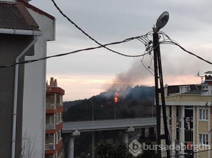 Arnavutköy'de yangın!