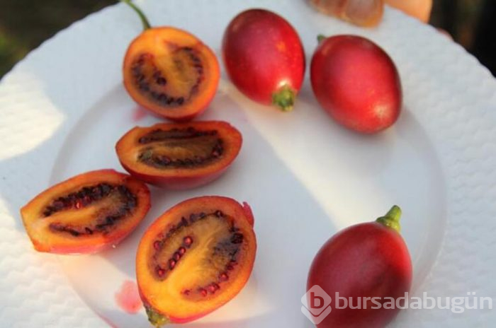 Tamarillo meyvesini Rize'de satıyor