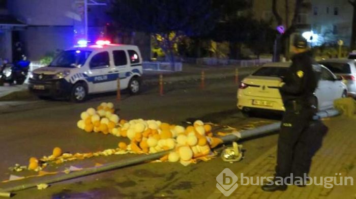 Lodos aydınlatma direğini devirdi!