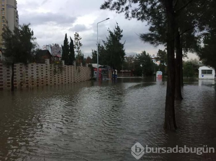 İzmir'de hayat felç oldu!