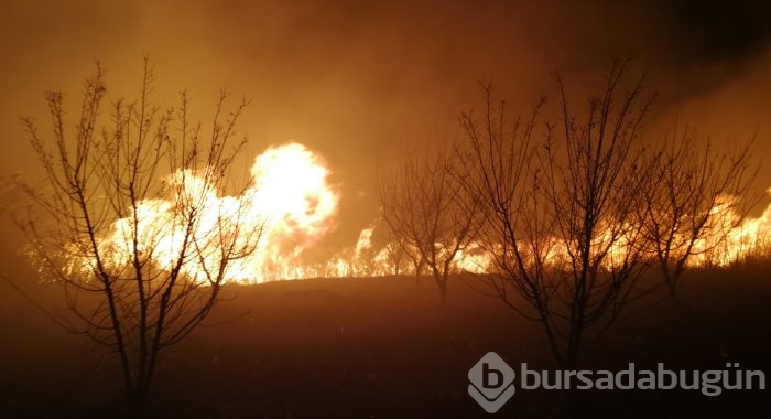 Herkes uyurken Bursa'da neler oldu?