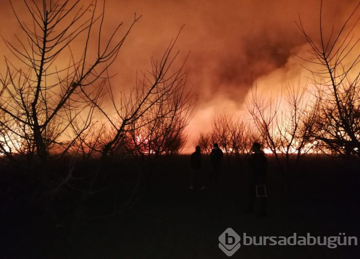 Herkes uyurken Bursa'da neler oldu?