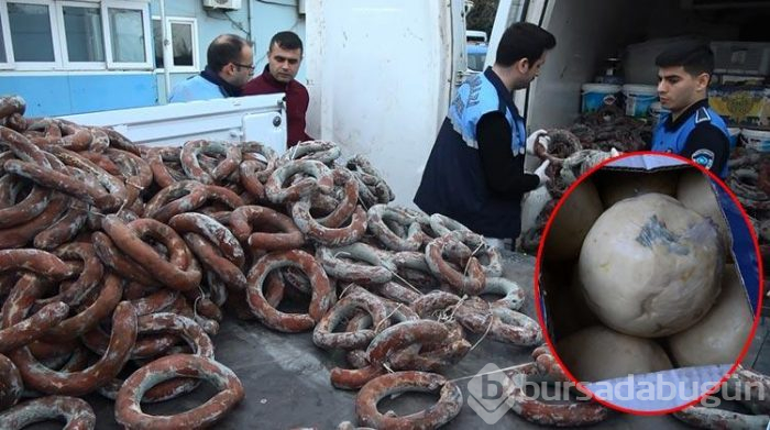 Kokmuş ve küflenmiş ürünleri satacaktı!