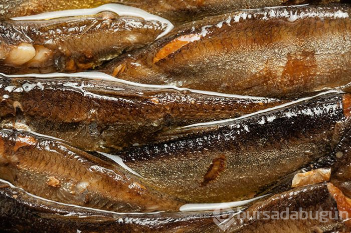 Umami ile ilgili merak edilenler