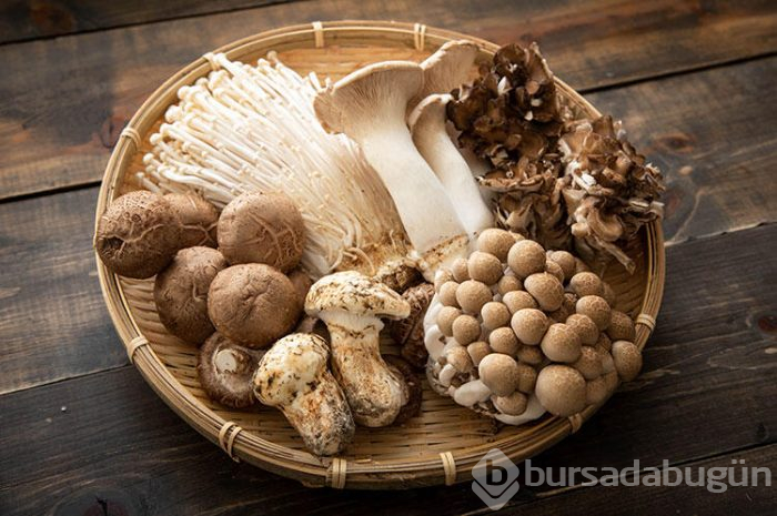 Umami ile ilgili merak edilenler
