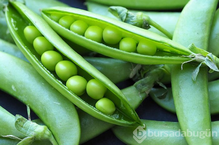 Umami ile ilgili merak edilenler