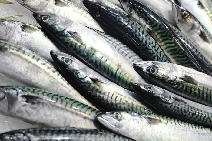 Umami ile ilgili merak edilenler