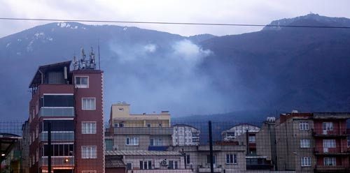 Bursa'da orman yangını!