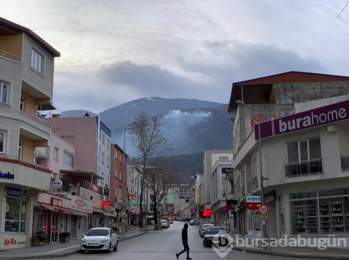 Bursa'da orman yangını!