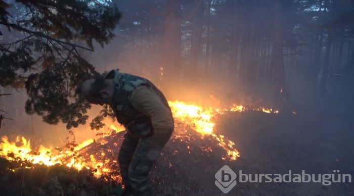 Bursa'da orman yangını!