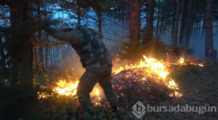 Bursa'da orman yangını!