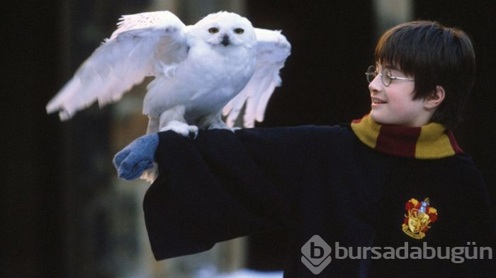 Harry Potter/Daniel Radcliffe süper kahraman oluyor