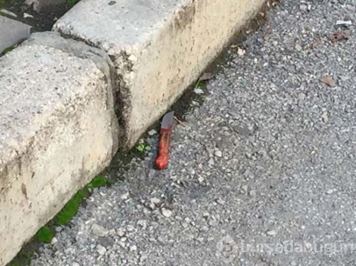 Direksiyon başında dehşet!