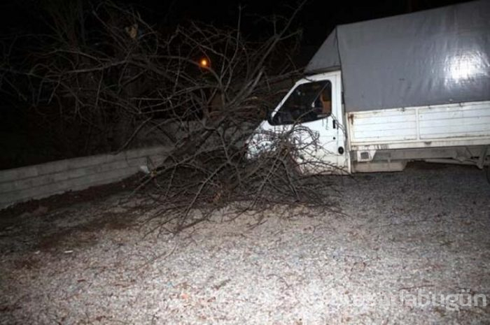 Tokat'ta fırtına ağaçları yerinden söktü!