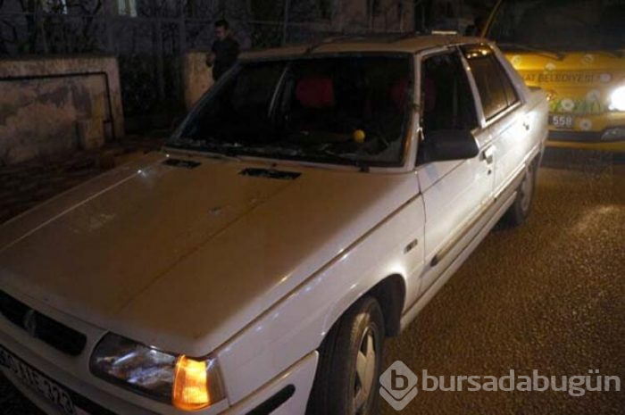 Tokat'ta fırtına ağaçları yerinden söktü!