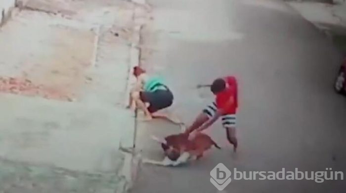 Küçük çocuğu böyle kurtardı