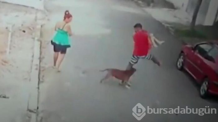 Küçük çocuğu böyle kurtardı