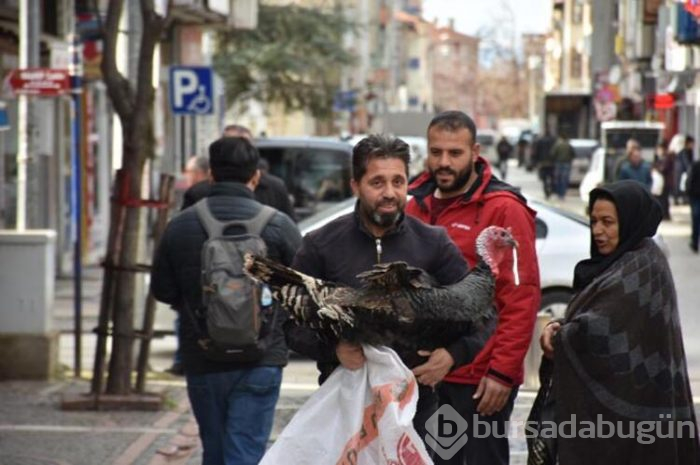 Sokak sokak gezip para saçıyorlar