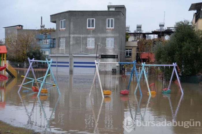 Plakalar yol kenarında birikti