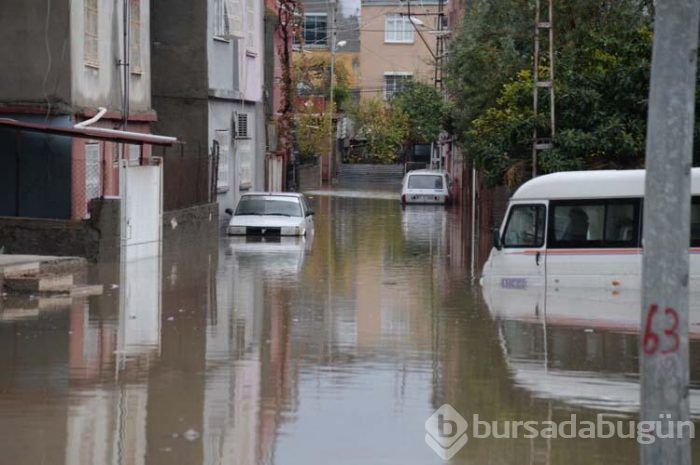 Plakalar yol kenarında birikti