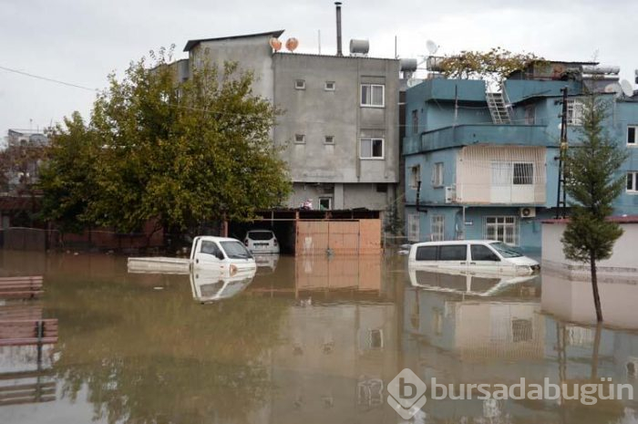 Plakalar yol kenarında birikti