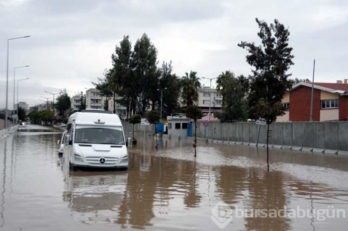Plakalar yol kenarında birikti