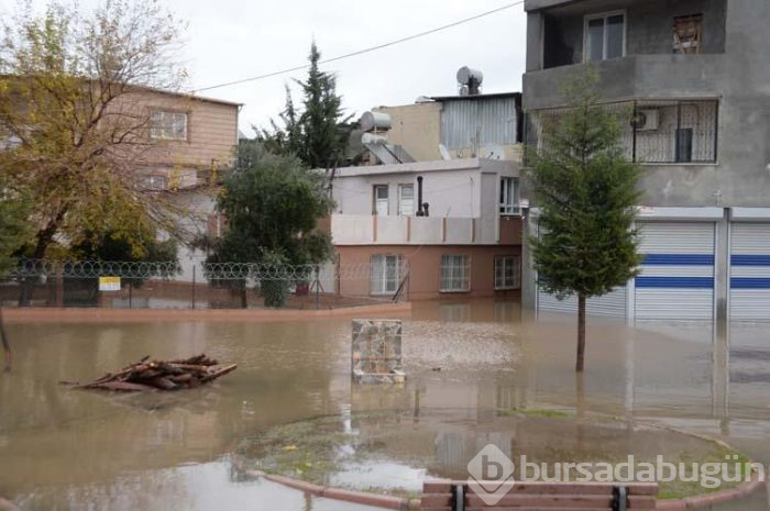 Plakalar yol kenarında birikti