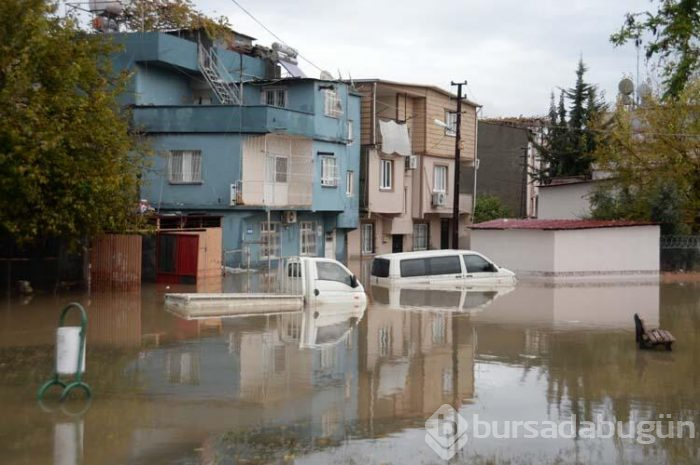 Plakalar yol kenarında birikti