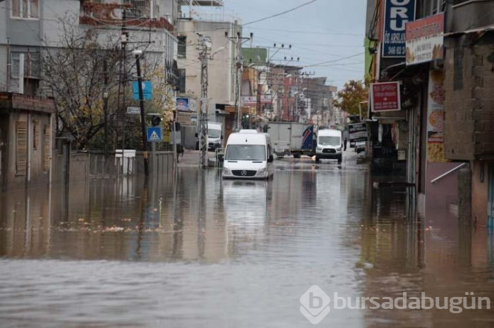 Plakalar yol kenarında birikti