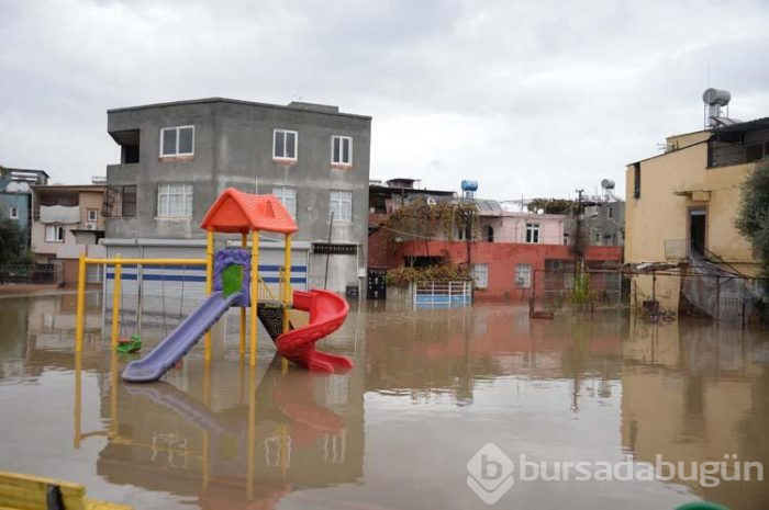 Plakalar yol kenarında birikti