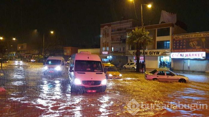 Plakalar yol kenarında birikti