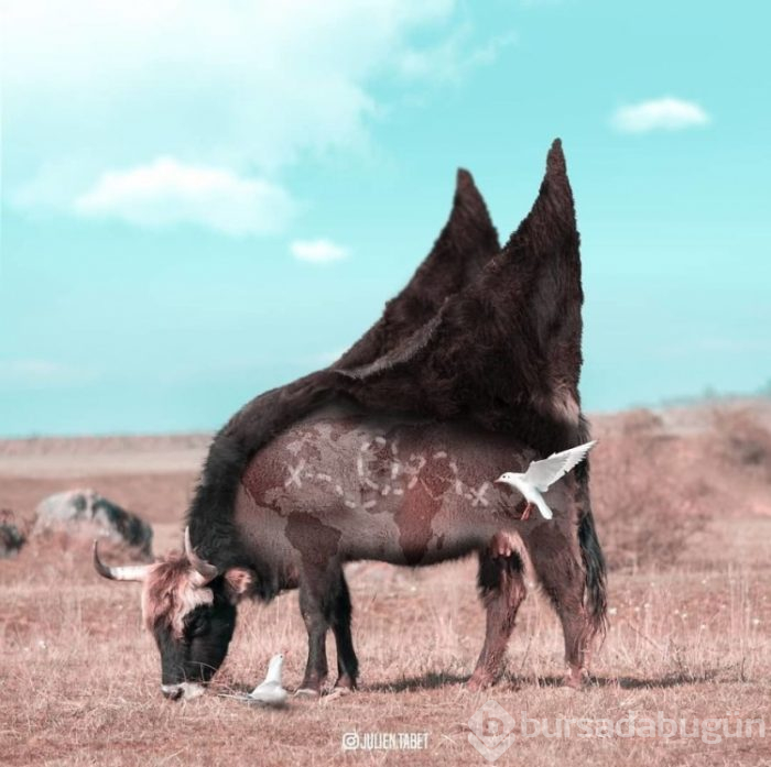 Bu kareler biraz farklı!