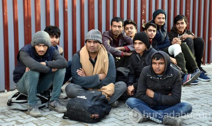 123 bin 377 kaçak göçmen yakalandı