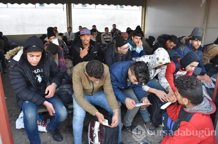 123 bin 377 kaçak göçmen yakalandı