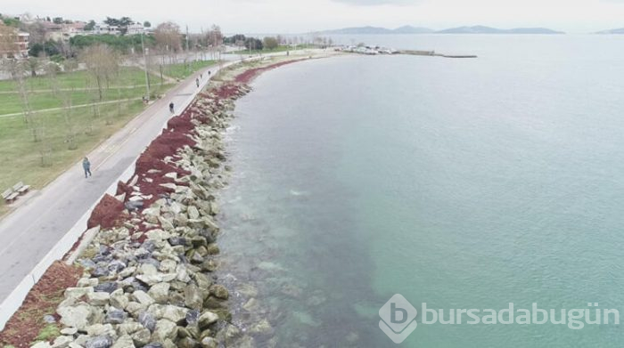 Caddebostan Sahili kızıla büründü