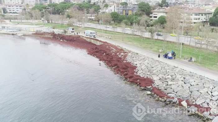 Caddebostan Sahili kızıla büründü
