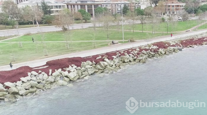 Caddebostan Sahili kızıla büründü