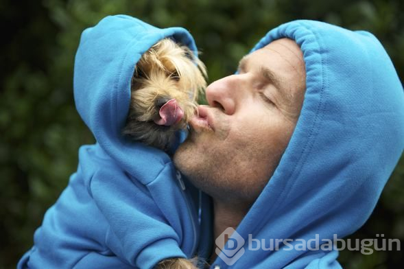 Köpeğinizi veterinere götürmeniz için 10 işaret