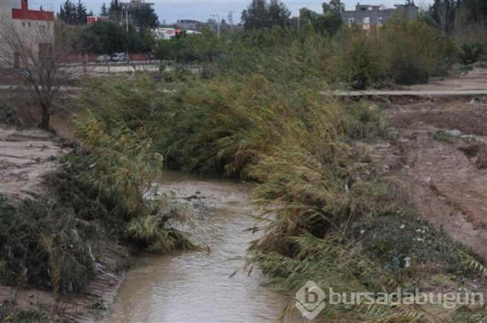Adana 4 gündür felaketi yaşıyor!