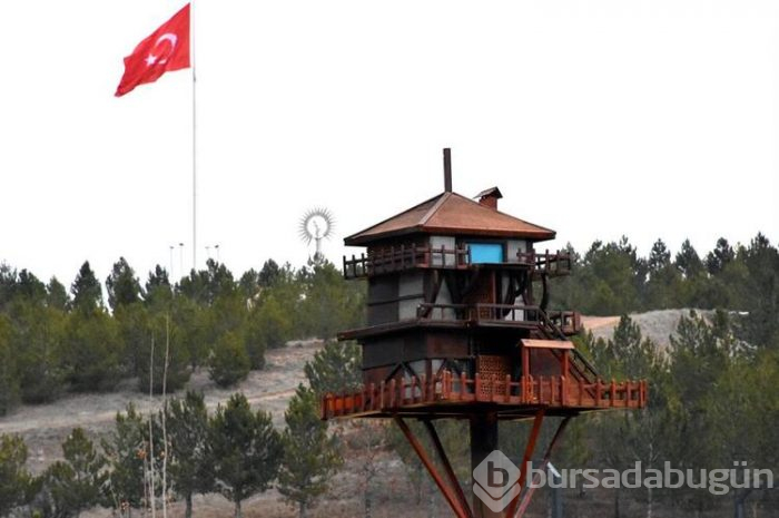 Bataklık, cennete döndü!