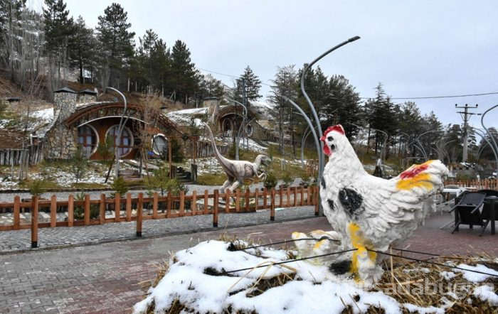 Sivas'ın gözdesi 'Hobbit Evleri'