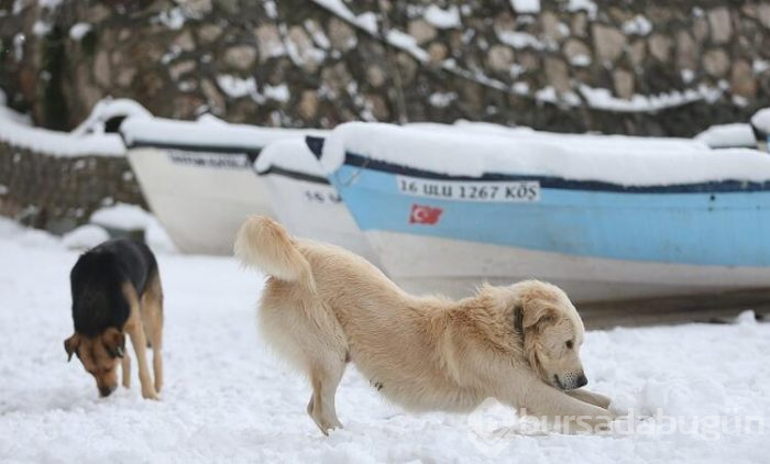 Bursa Gölyazı, Avrupa'nın en güzel kasabaları listesinde!