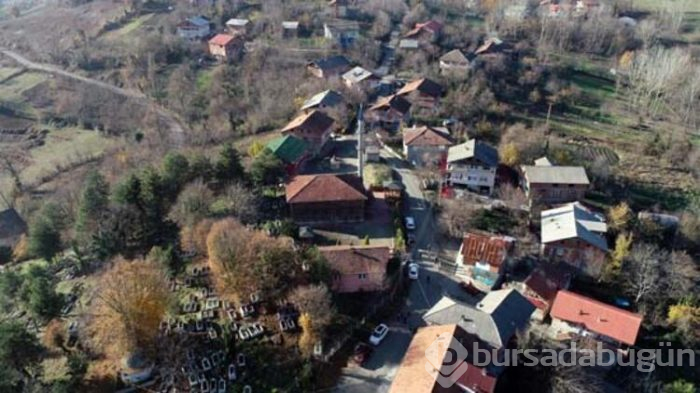 Caminin çivisi yok
