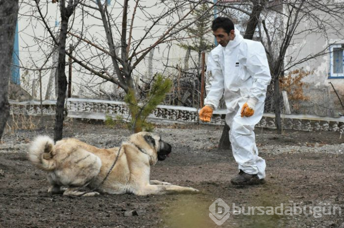 'Herkül'e paha biçilemiyor!