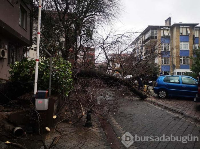 Kadıköy'de faciadan dönüldü!