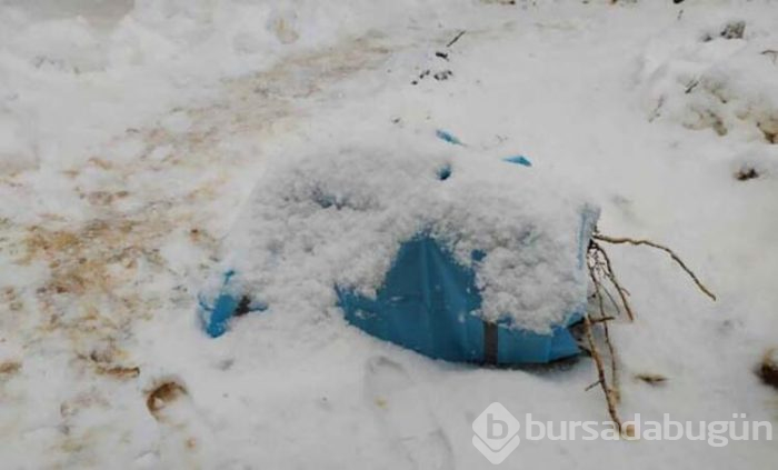 Korkunç gerçek 15 yıl sonra ortaya çıktı!
