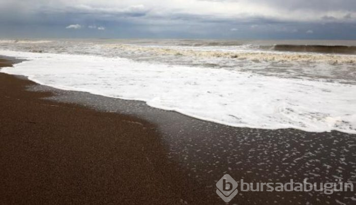 Antalya sahilinde bulundu!
