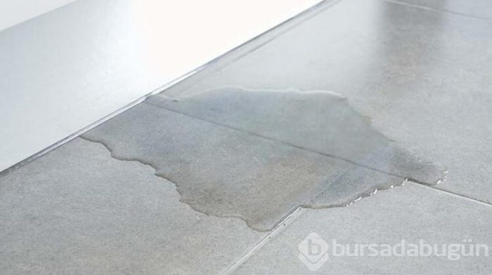 Elektrik süpürgesiyle temizlememeniz gerekenler